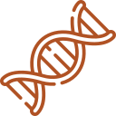 Your genetic leadership predispositions and talents